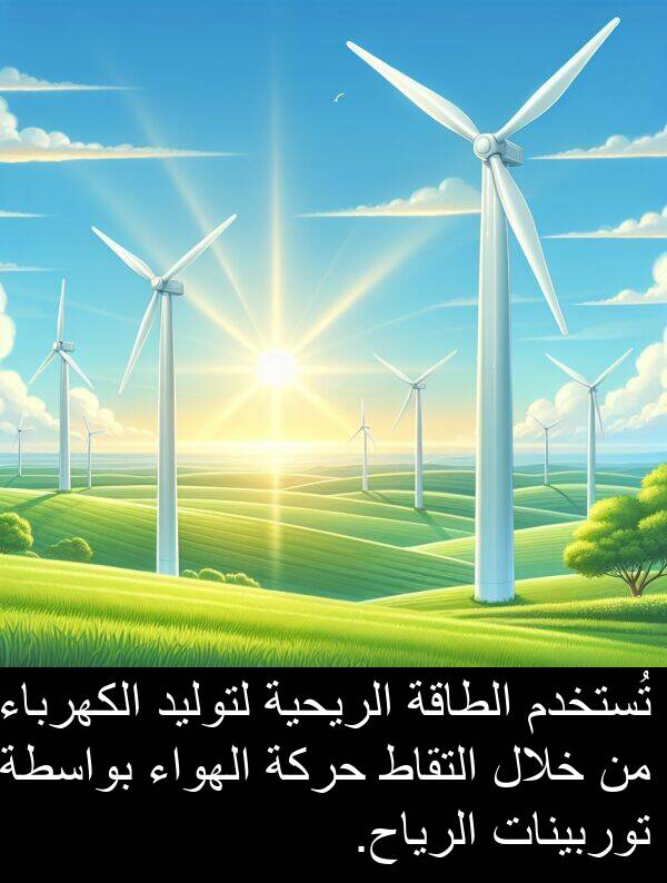 لتوليد: تُستخدم الطاقة الريحية لتوليد الكهرباء من خلال التقاط حركة الهواء بواسطة توربينات الرياح.