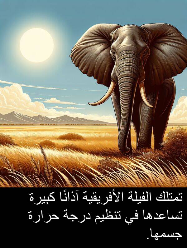 آذانًا: تمتلك الفيلة الأفريقية آذانًا كبيرة تساعدها في تنظيم درجة حرارة جسمها.