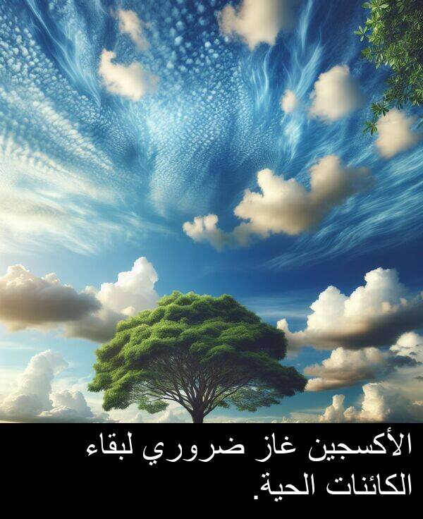 غاز: الأكسجين غاز ضروري لبقاء الكائنات الحية.