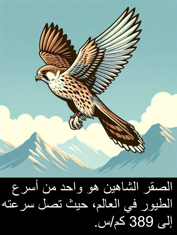 سرعته: الصقر الشاهين هو واحد من أسرع الطيور في العالم، حيث تصل سرعته إلى 389 كم/س.