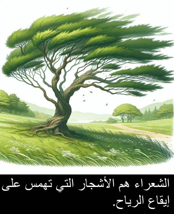 إيقاع: الشعراء هم الأشجار التي تهمس على إيقاع الرياح.