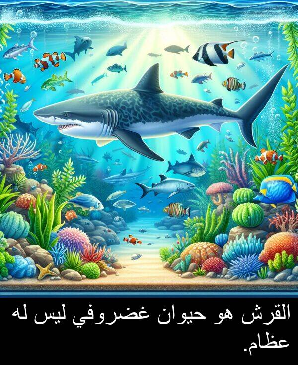 عظام: القرش هو حيوان غضروفي ليس له عظام.