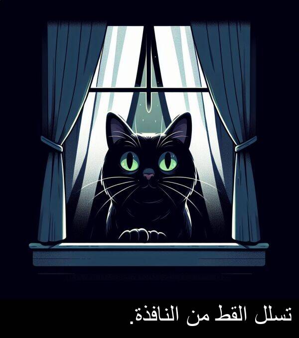 القط: تسلل القط من النافذة.