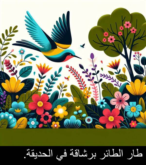 طار: طار الطائر برشاقة في الحديقة.