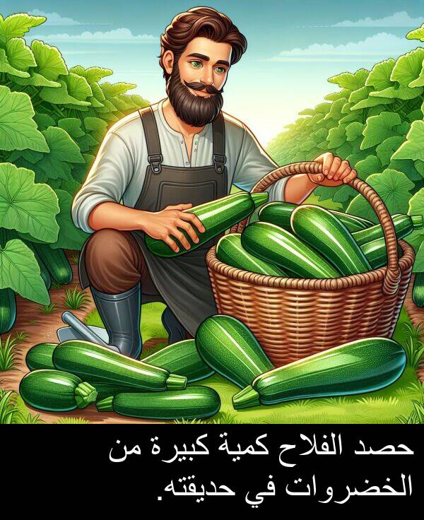كبيرة: حصد الفلاح كمية كبيرة من الخضروات في حديقته.