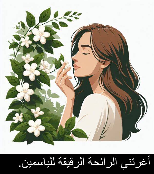 الرقيقة: أغرتني الرائحة الرقيقة للياسمين.