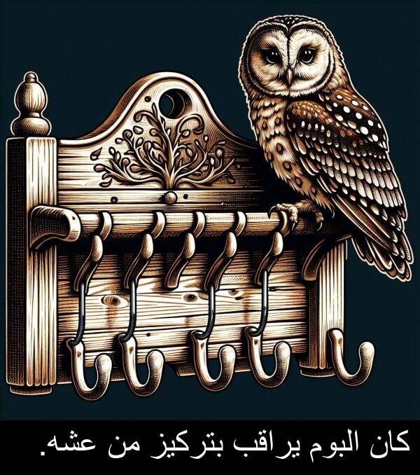 كان: كان البوم يراقب بتركيز من عشه.