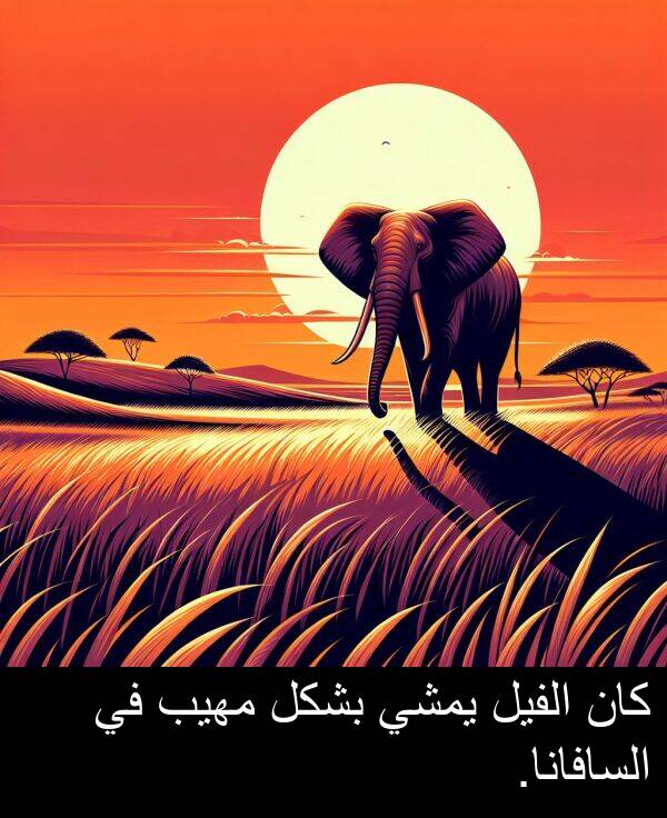 السافانا: كان الفيل يمشي بشكل مهيب في السافانا.