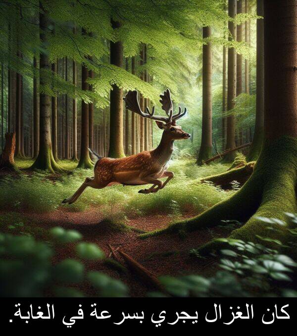 كان: كان الغزال يجري بسرعة في الغابة.