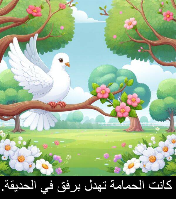 الحديقة: كانت الحمامة تهدل برفق في الحديقة.