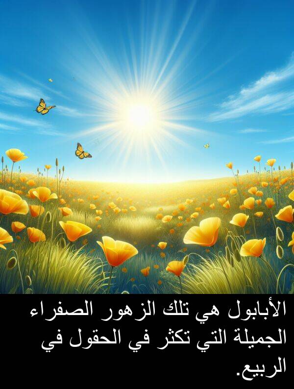 الأبابول: الأبابول هي تلك الزهور الصفراء الجميلة التي تكثر في الحقول في الربيع.