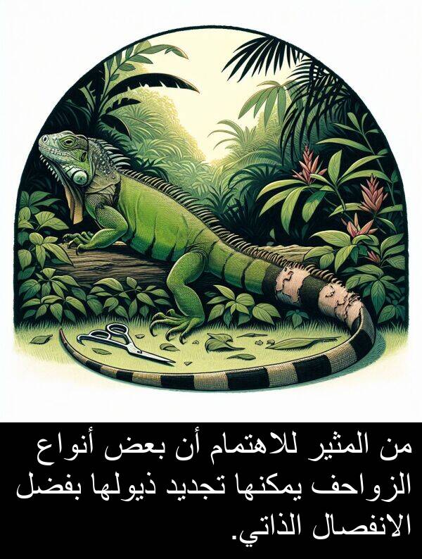 ذيولها: من المثير للاهتمام أن بعض أنواع الزواحف يمكنها تجديد ذيولها بفضل الانفصال الذاتي.