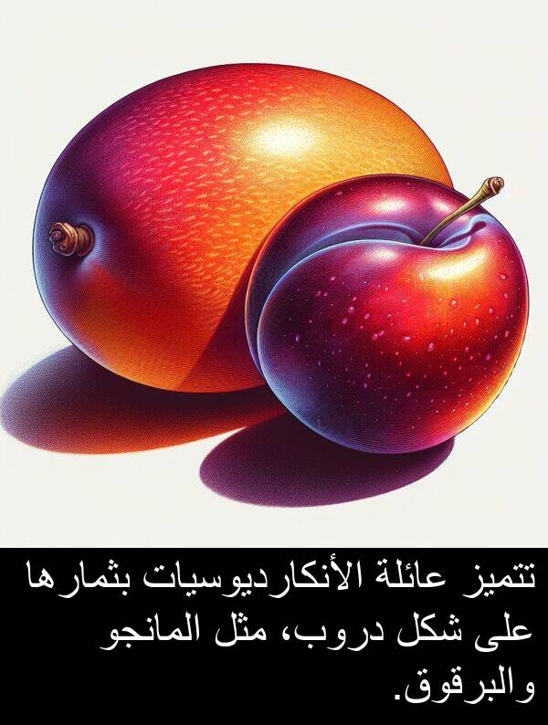 عائلة: تتميز عائلة الأنكارديوسيات بثمارها على شكل دروب، مثل المانجو والبرقوق.