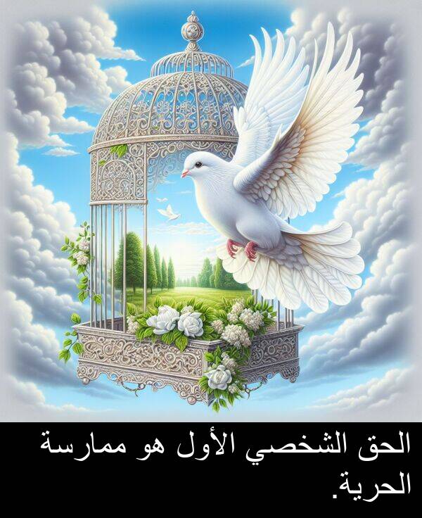 الأول: الحق الشخصي الأول هو ممارسة الحرية.