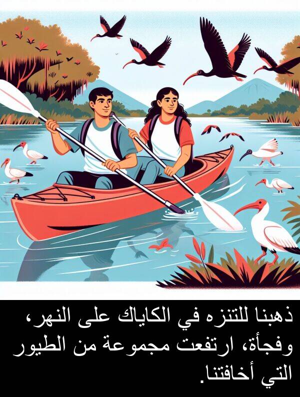 ذهبنا: ذهبنا للتنزه في الكاياك على النهر، وفجأة، ارتفعت مجموعة من الطيور التي أخافتنا.