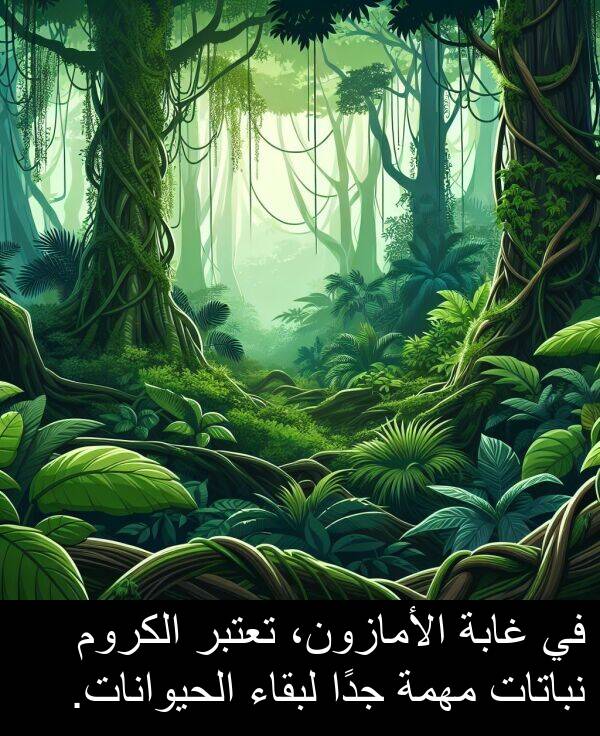 لبقاء: في غابة الأمازون، تعتبر الكروم نباتات مهمة جدًا لبقاء الحيوانات.