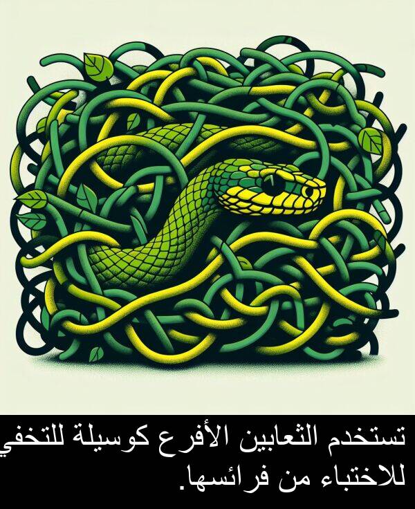 كوسيلة: تستخدم الثعابين الأفرع كوسيلة للتخفي للاختباء من فرائسها.