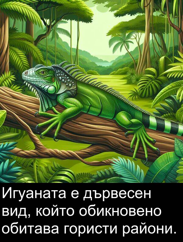 обитава: Игуаната е дървесен вид, който обикновено обитава гористи райони.