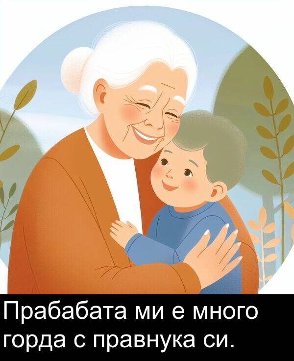 много: Прабабата ми е много горда с правнука си.