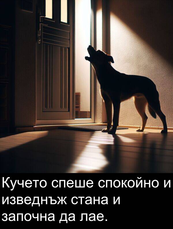 изведнъж: Кучето спеше спокойно и изведнъж стана и започна да лае.