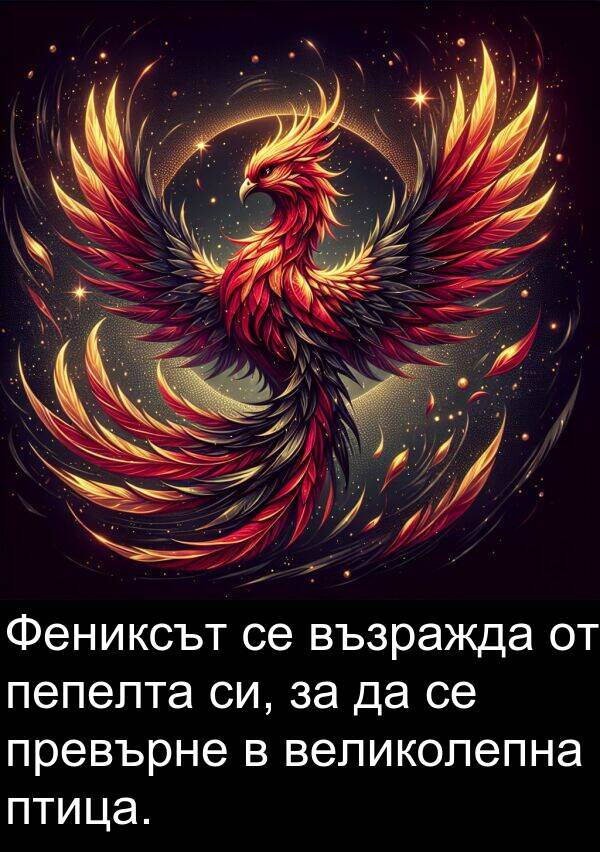пепелта: Фениксът се възражда от пепелта си, за да се превърне в великолепна птица.