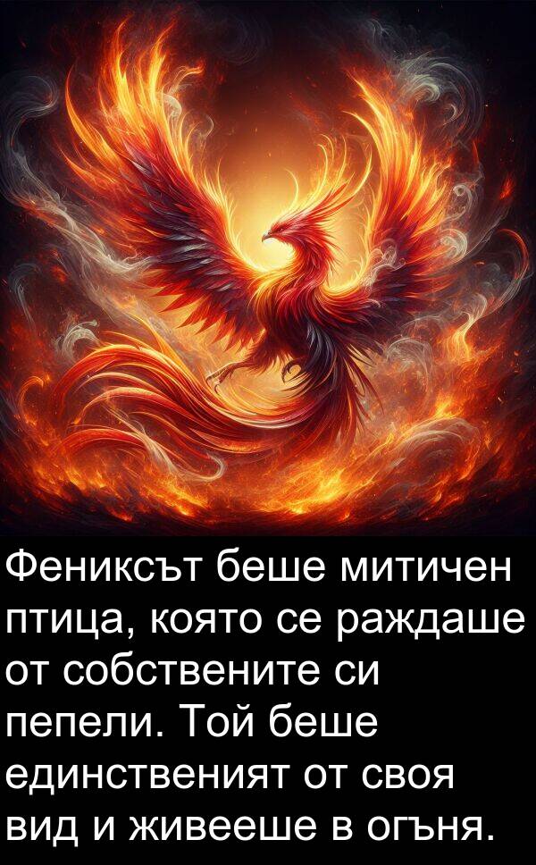 единственият: Фениксът беше митичен птица, която се раждаше от собствените си пепели. Той беше единственият от своя вид и живееше в огъня.