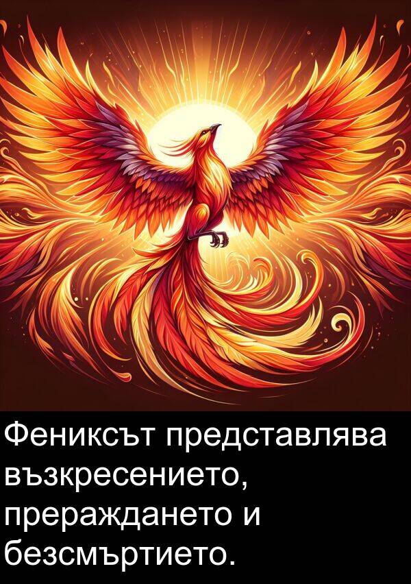 представлява: Фениксът представлява възкресението, прераждането и безсмъртието.