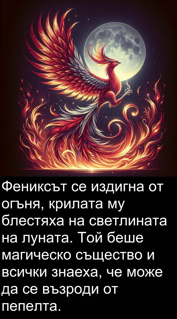 магическо: Фениксът се издигна от огъня, крилата му блестяха на светлината на луната. Той беше магическо същество и всички знаеха, че може да се възроди от пепелта.
