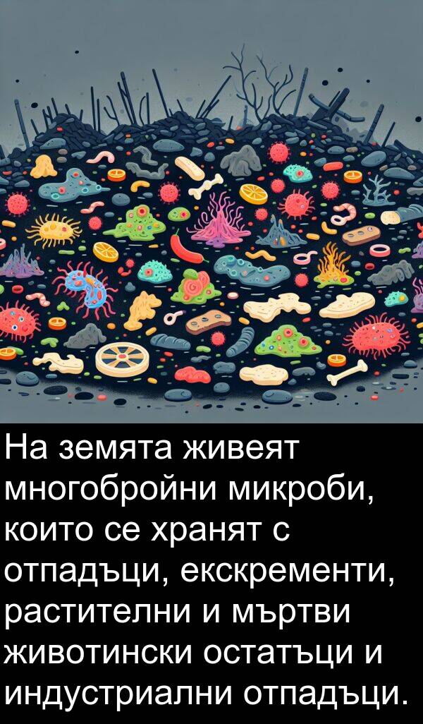 индустриални: На земята живеят многобройни микроби, които се хранят с отпадъци, екскременти, растителни и мъртви животински остатъци и индустриални отпадъци.