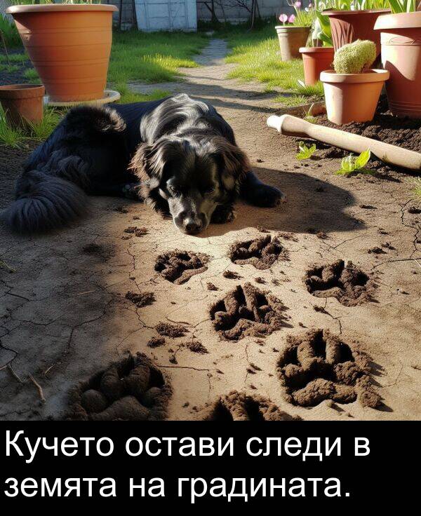 следи: Кучето остави следи в земята на градината.