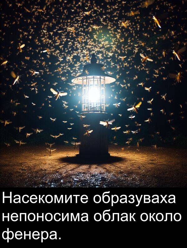 облак: Насекомите образуваха непоносима облак около фенера.