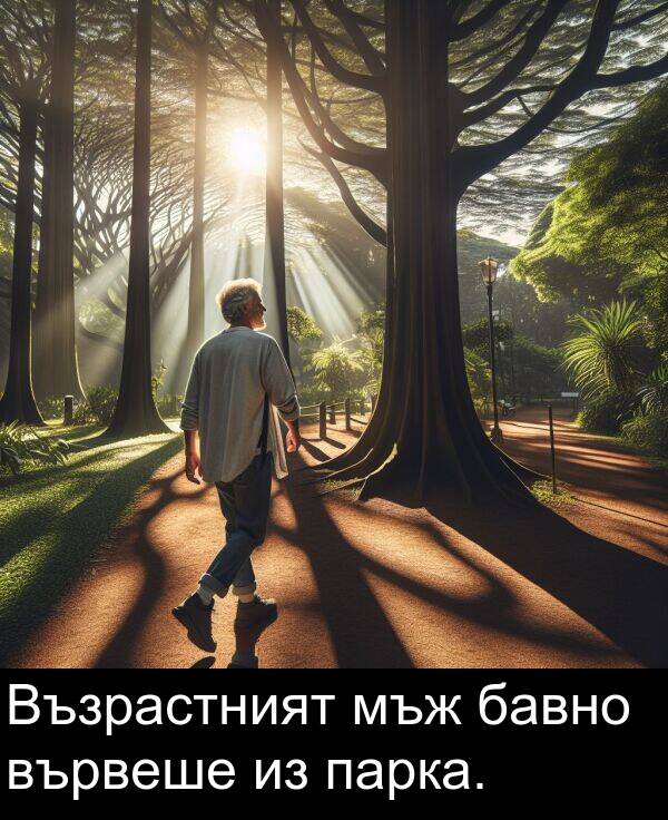 бавно: Възрастният мъж бавно вървеше из парка.