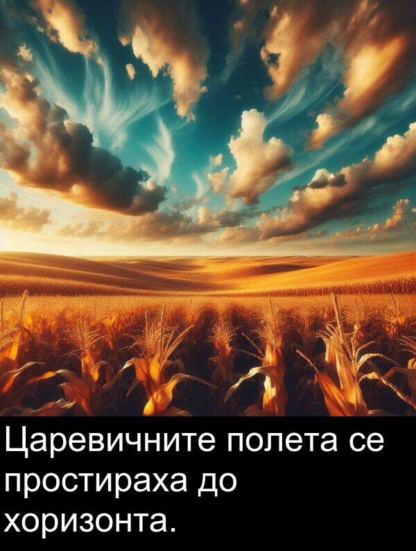 полета: Царевичните полета се простираха до хоризонта.