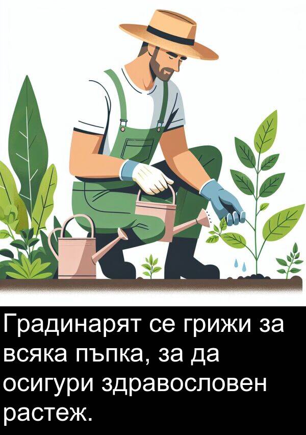 осигури: Градинарят се грижи за всяка пъпка, за да осигури здравословен растеж.