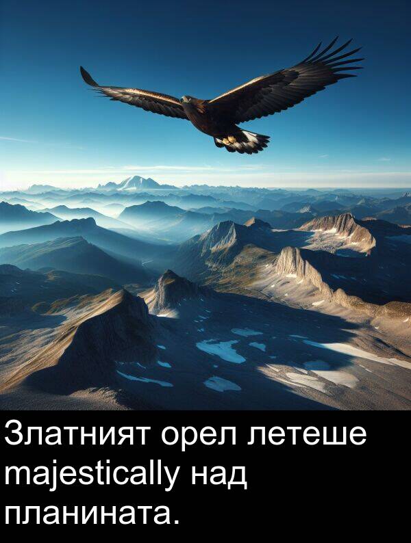 летеше: Златният орел летеше majestically над планината.