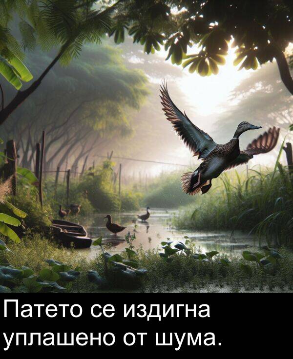 издигна: Патето се издигна уплашено от шума.