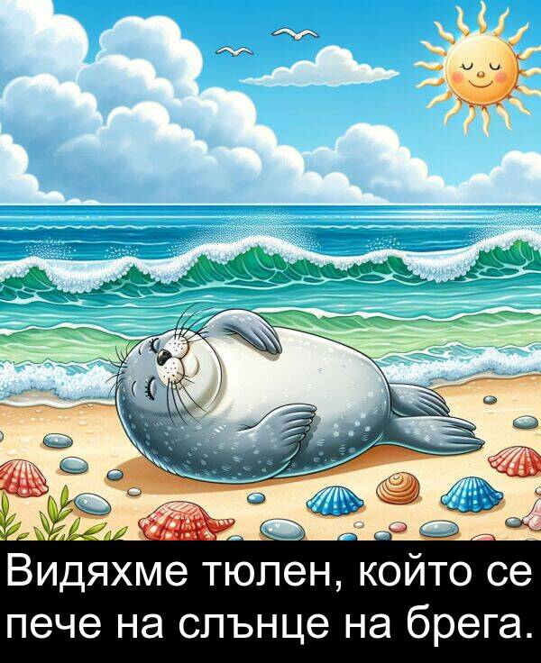 брега: Видяхме тюлен, който се пече на слънце на брега.