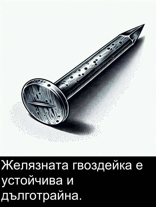 устойчива: Желязната гвоздейка е устойчива и дълготрайна.