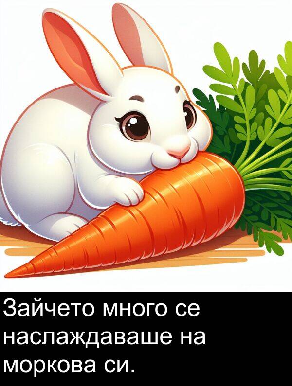 наслаждаваше: Зайчето много се наслаждаваше на моркова си.