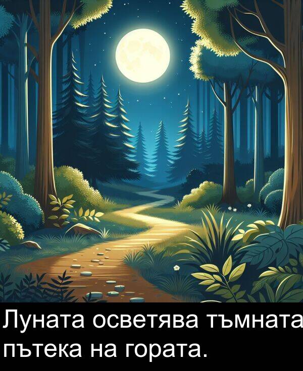 осветява: Луната осветява тъмната пътека на гората.