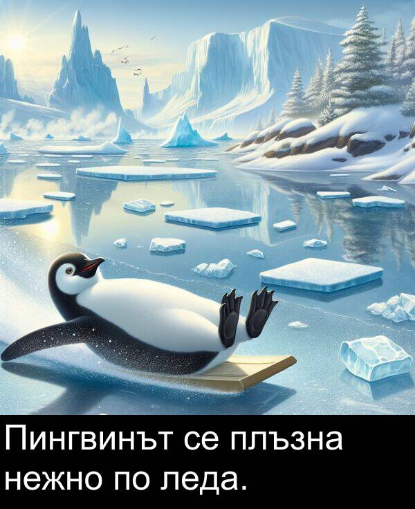 леда: Пингвинът се плъзна нежно по леда.
