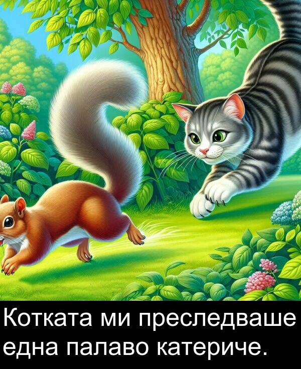 палаво: Котката ми преследваше една палаво катериче.