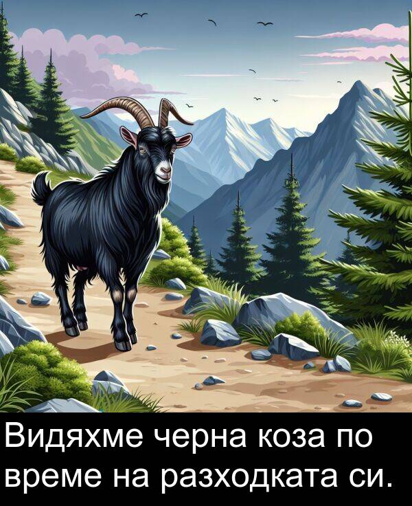 черна: Видяхме черна коза по време на разходката си.