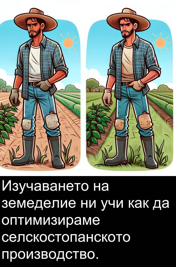 производство: Изучаването на земеделие ни учи как да оптимизираме селскостопанското производство.