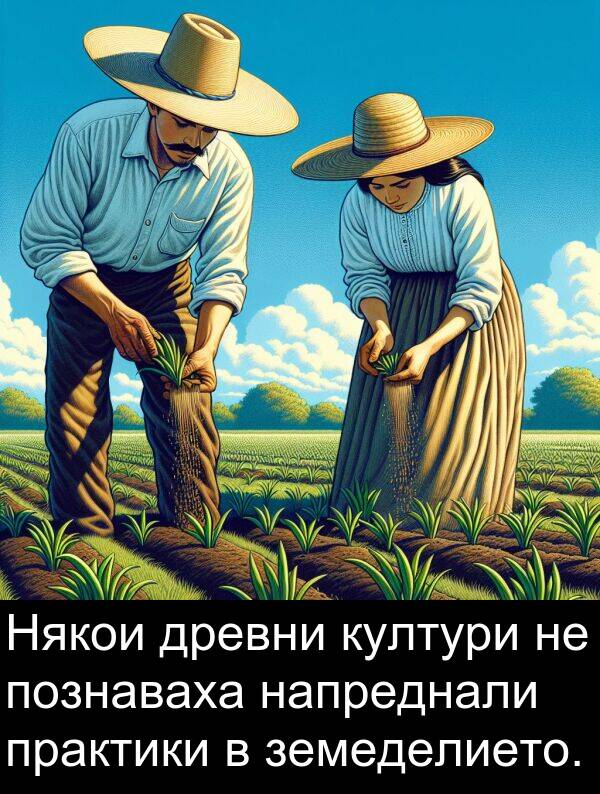 познаваха: Някои древни култури не познаваха напреднали практики в земеделието.