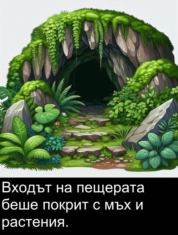 покрит: Входът на пещерата беше покрит с мъх и растения.