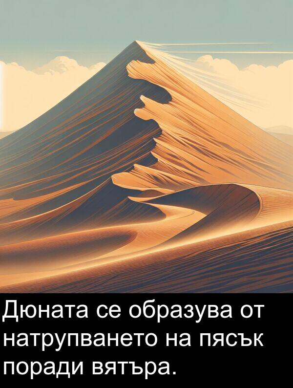 образува: Дюната се образува от натрупването на пясък поради вятъра.