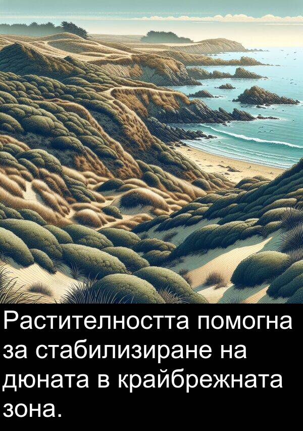 стабилизиране: Растителността помогна за стабилизиране на дюната в крайбрежната зона.