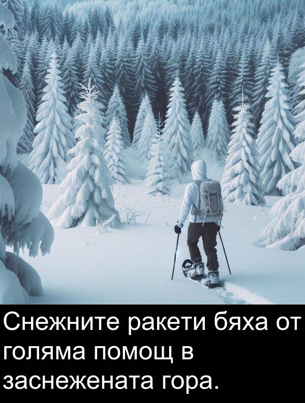 бяха: Снежните ракети бяха от голяма помощ в заснежената гора.