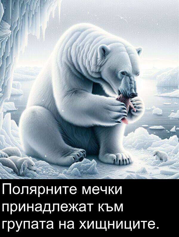 хищниците: Полярните мечки принадлежат към групата на хищниците.